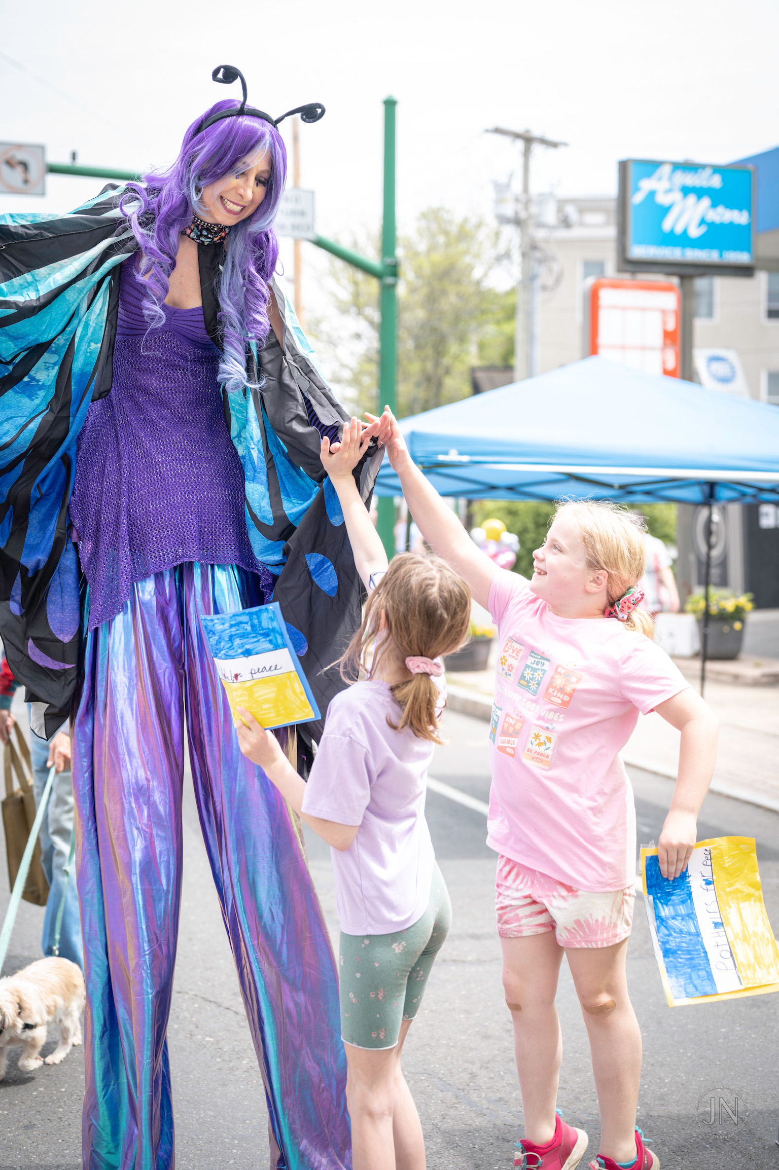 Blue & Purple Butterfly detail