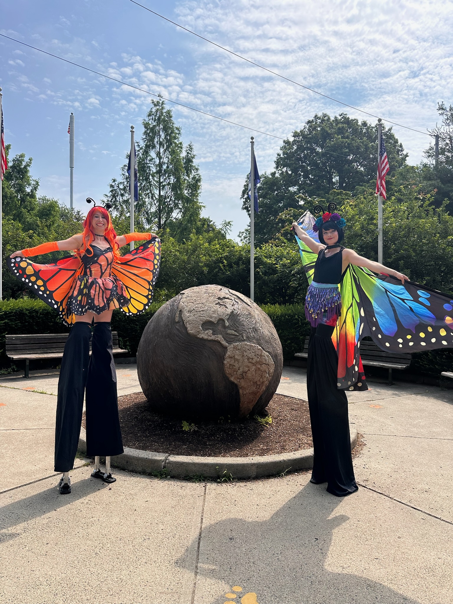 Monarch Butterfly detail